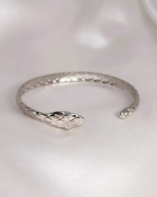 IMG_20251010_174609_result Βραχιόλι χειροπέδα Φίδι ασημένιο