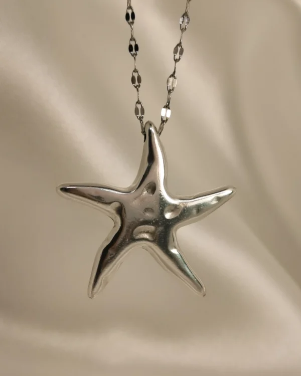 IMG_20250310_185531_result Κολιέ Αστερίας μεγάλος ασημένιο