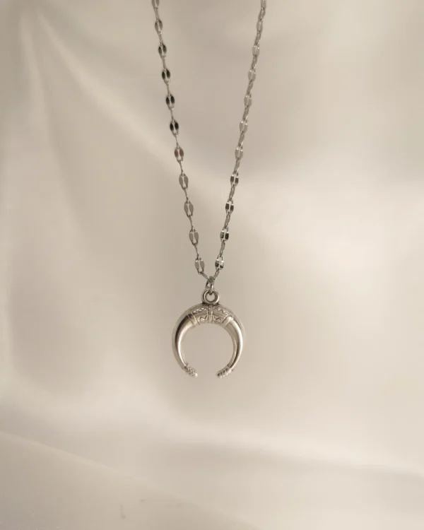 IMG_20250314_180537_result Κολιέ πέταλο ασημένιο