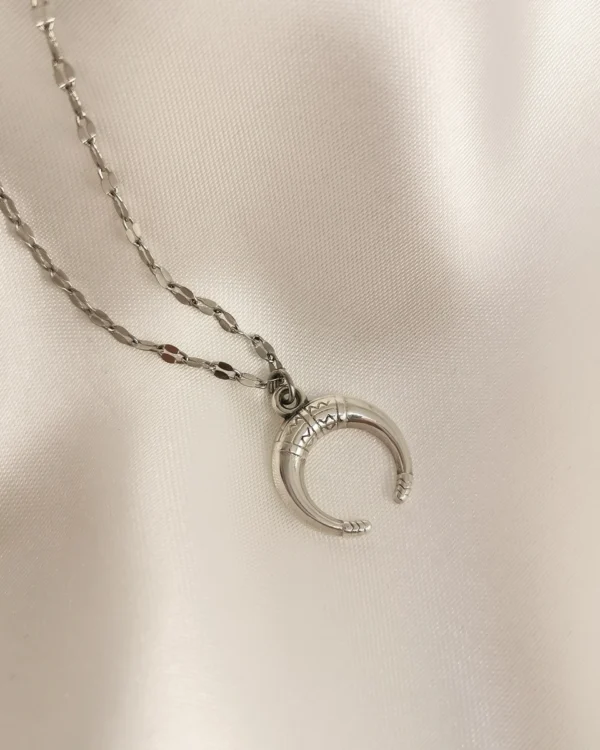 IMG_20250314_180843_result Κολιέ πέταλο ασημένιο