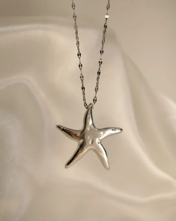 Untitled230_20250311165001_result Κολιέ Αστερίας μεγάλος ασημένιο